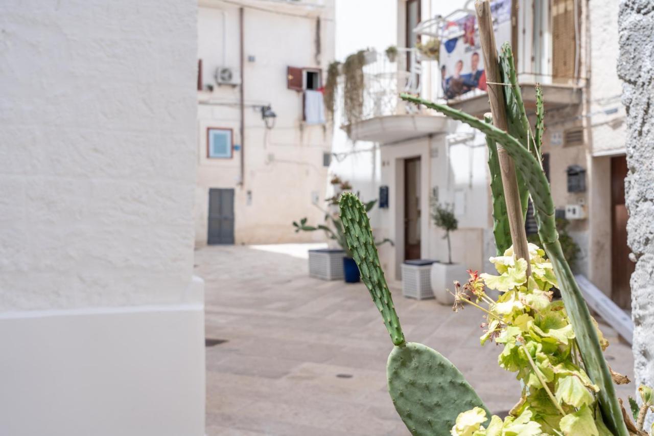 Wineart House, Terracielo Indipendente Nel Centro Di Monopoli Apartment Luaran gambar